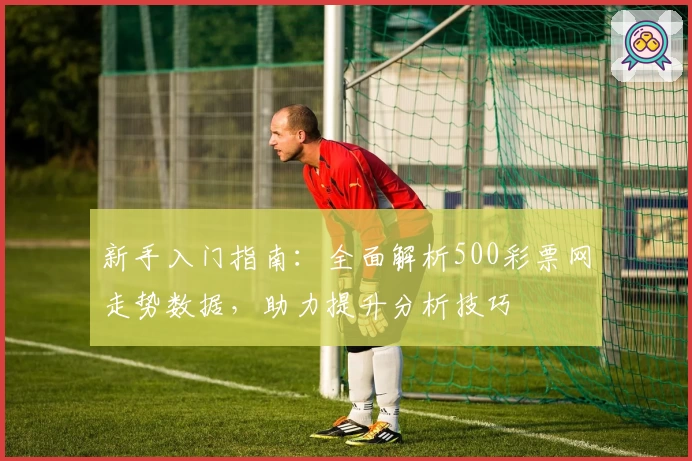 新手入门指南：全面解析500彩票网走势数据，助力提升分析技巧