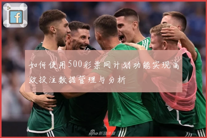 如何使用500彩票网计划功能实现高效投注数据管理与分析