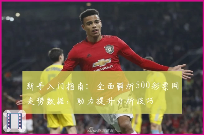 新手入门指南：全面解析500彩票网走势数据，助力提升分析技巧