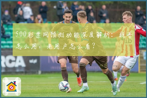 500彩票网预测功能深度解析：新手怎么用，老用户怎么看？