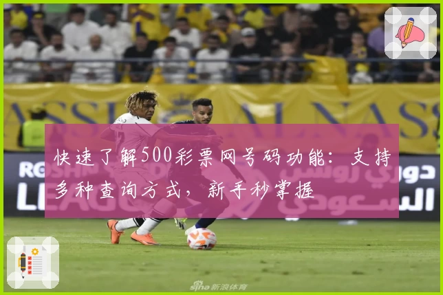 快速了解500彩票网号码功能:支持多种查询方式,新手秒掌握