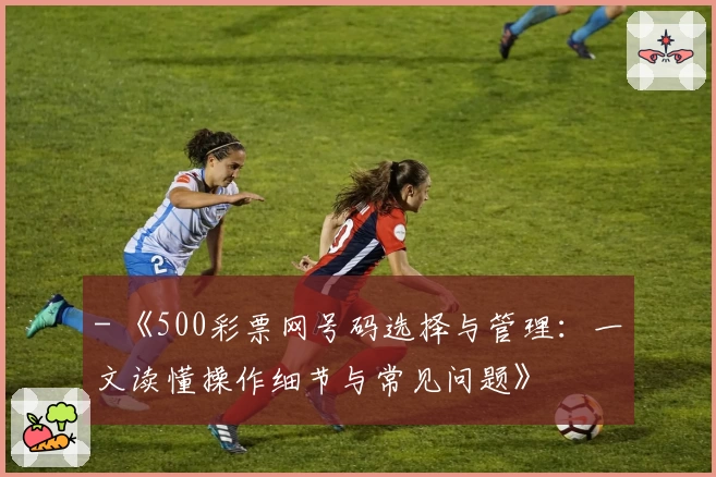 - 《500彩票网号码选择与管理：一文读懂操作细节与常见问题》