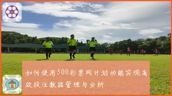 如何使用500彩票网计划功能实现高效投注数据管理与分析