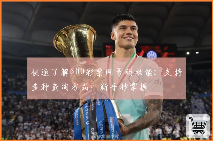 快速了解500彩票网号码功能：支持多种查询方式，新手秒掌握