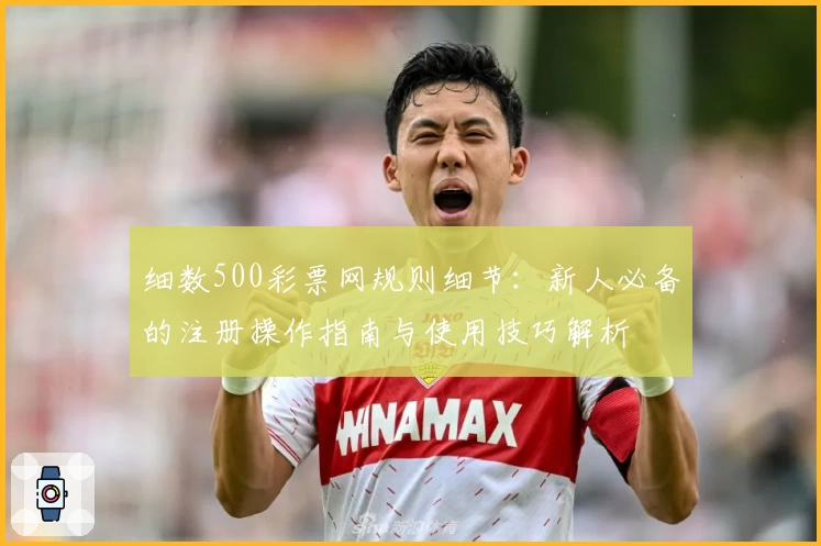 细数500彩票网规则细节：新人必备的注册操作指南与使用技巧解析